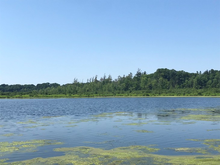 Landscape photo of lake